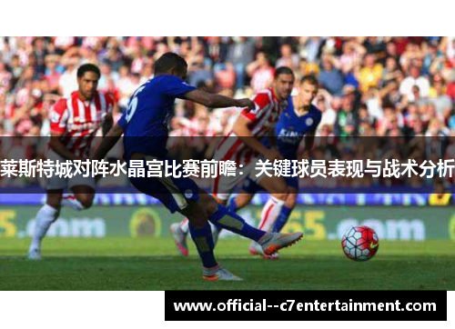 莱斯特城对阵水晶宫比赛前瞻：关键球员表现与战术分析