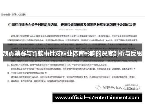 魏震禁赛与罚款事件对职业体育影响的深度剖析与反思
