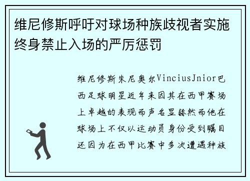 维尼修斯呼吁对球场种族歧视者实施终身禁止入场的严厉惩罚